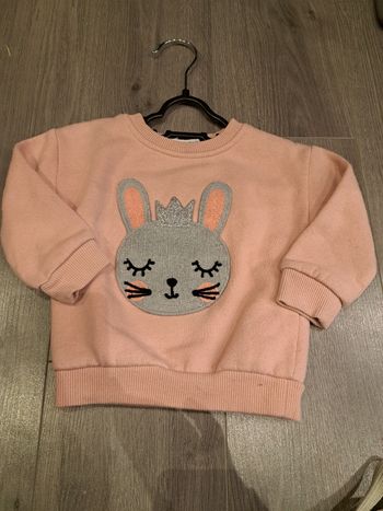 Pull lapin
