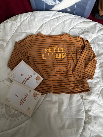 t shirt