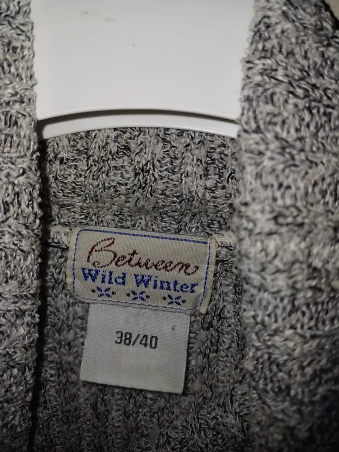 Pulls col Roulé Wild Winter - photo numéro 3