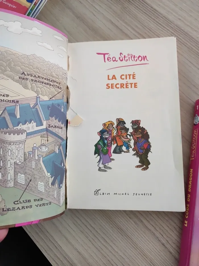 Lot livres Tea stilton - photo numéro 8