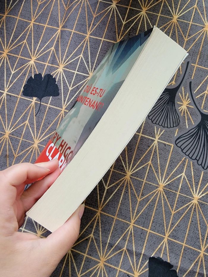 Où es-tu maintenant ? - photo numéro 4