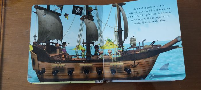 Livre Le Pirate