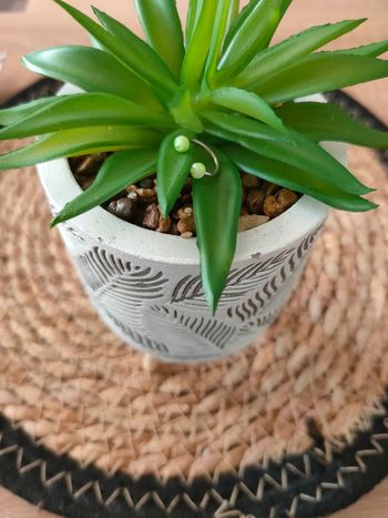 🎀Piercing anneau🎀