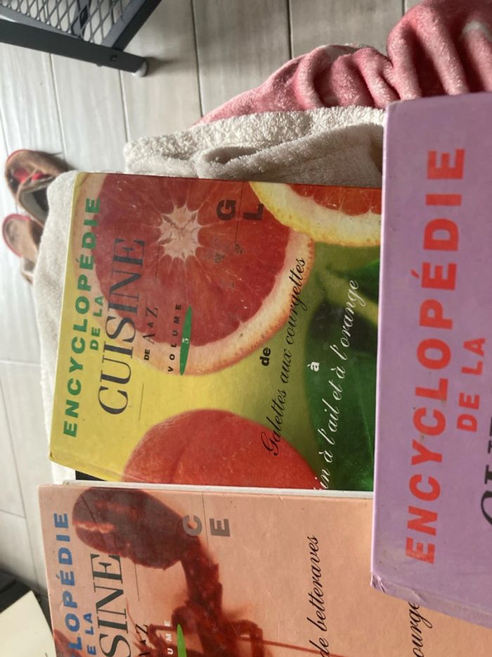 Lot de 5 encyclopédies de la cuisine - photo numéro 6