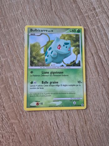 Bulbizarre Merveilles Secrètes 