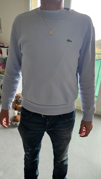 Pull lacoste