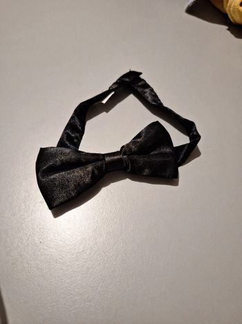 Noeud papillon garçon