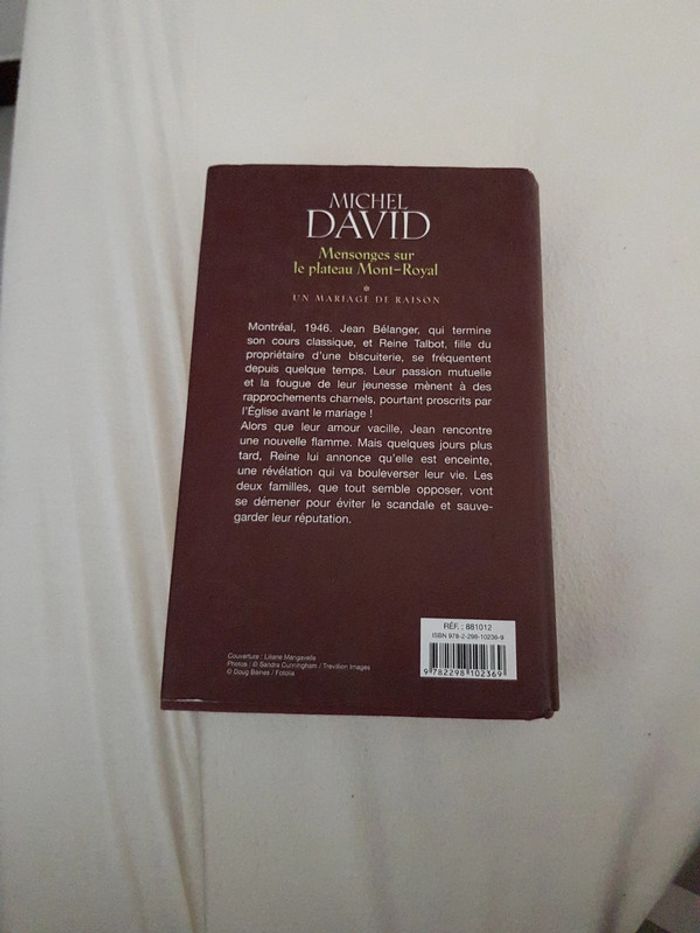 Michel David - Mensonges sur le plateau Mont Royal - photo numéro 2