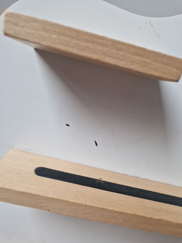 Etagere tonie - photo numéro 3