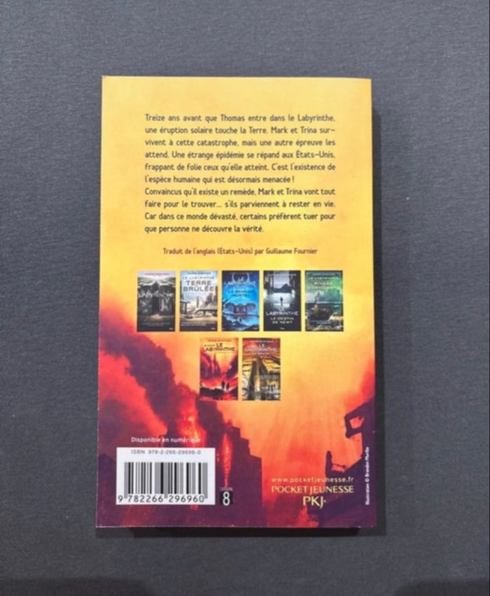 Livres  Le  Labyrinthe - photo numéro 5