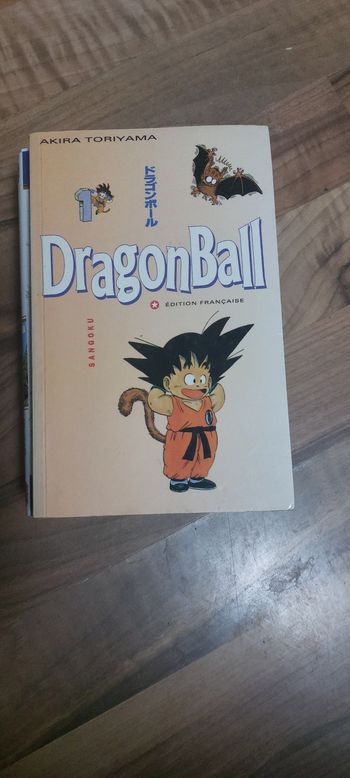 Livre dragon ball