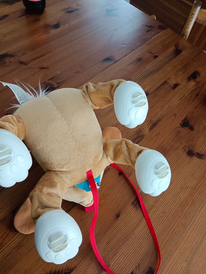 Chien toufou - photo numéro 5