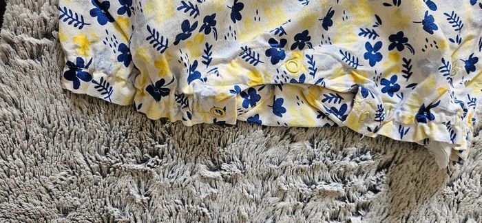 barboteuse sergent major - photo numéro 5