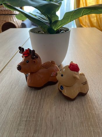 Duo rennes tut tut animaux