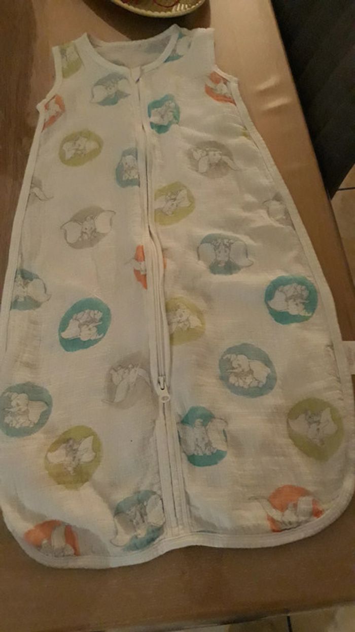 Gigoteuse fine TOG 1 Disney baby - photo numéro 2
