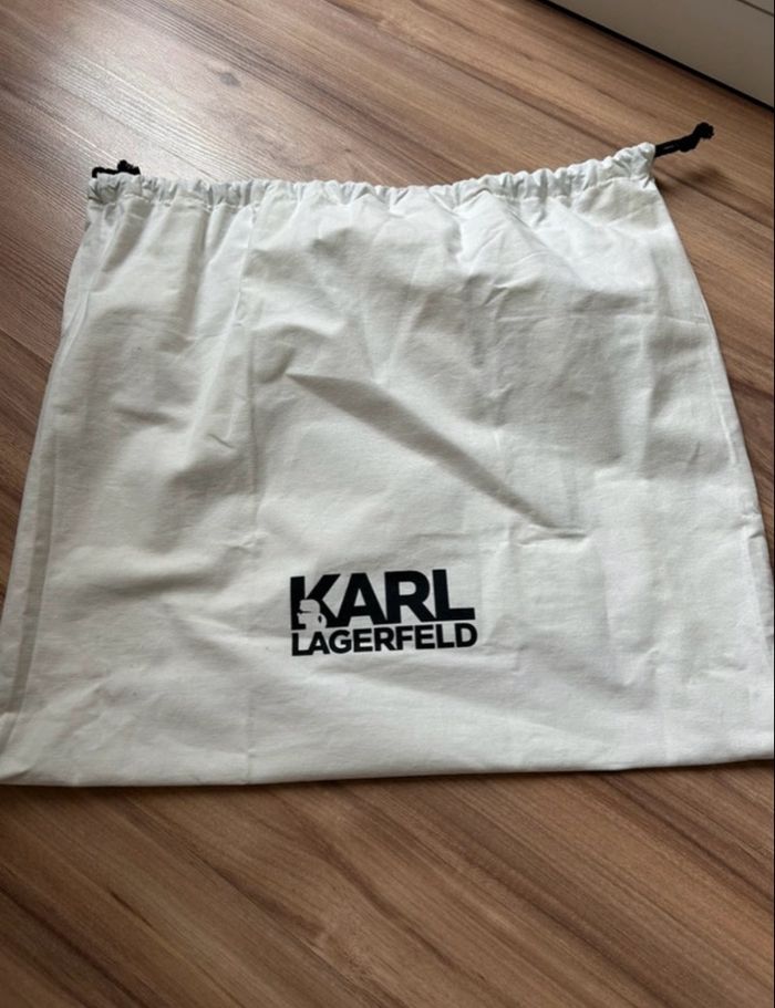 Sac à main blanc Karl Lagerfeld + Todbag - photo numéro 2