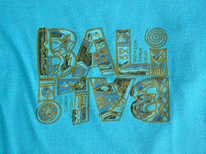 Lot de 2 tee-shirts garçon 5 ans (n°12bis) - photo numéro 2