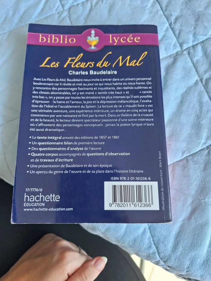 Les fleurs du mal - photo numéro 2