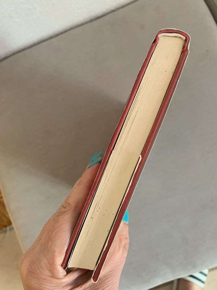 Livre une femme en enfer le drame des femmes battues ( témoignage ) - photo numéro 4