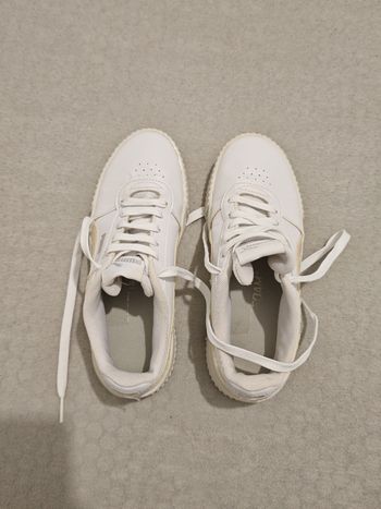 Basket puma