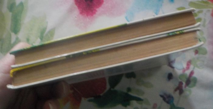 2 Bibliothèque Rose Robin des Bois et La Belle et le Clochard - photo numéro 4