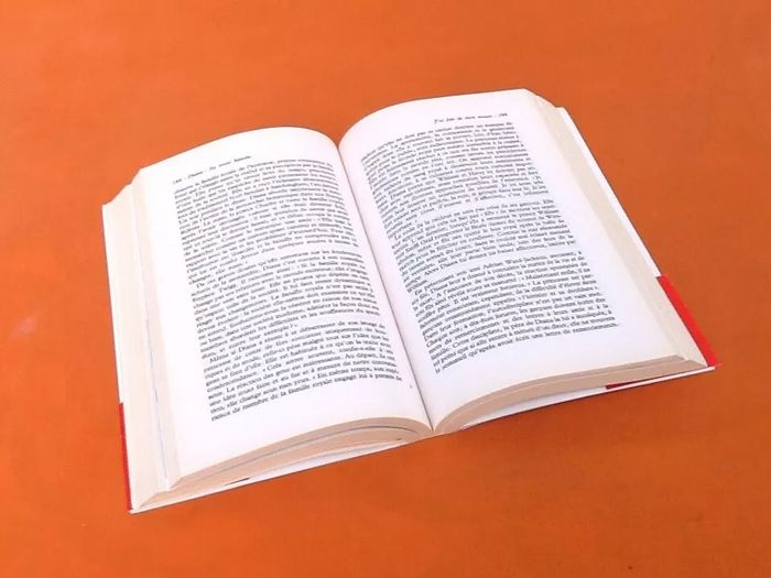 Andrew Morton Diana Sa vraie histoire - photo numéro 5