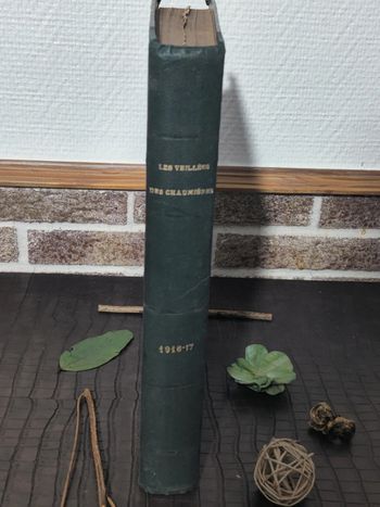 Les veillées des chaumières / Livre ancien 1916 - 1917
