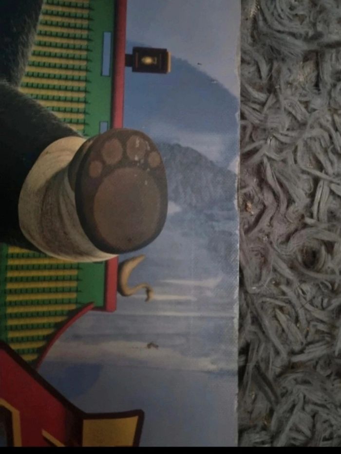 Grand tableau Kung fu panda (po et tigresse) - photo numéro 7