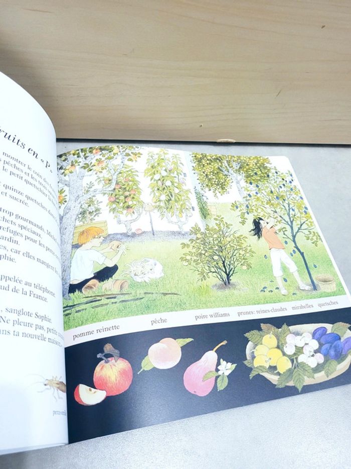 🌺 Livre (école des loisirs) : La fête des fruits - photo numéro 5