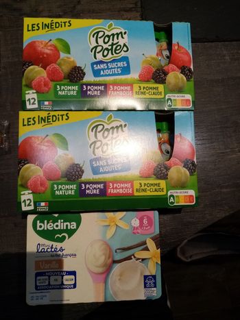 Lot 24 popotes et 6 lactés vanille bledina 