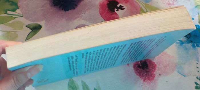 LES PUISSANCES DU MAL de Jean-Edern HALLIER Ed. du Rocher - photo numéro 4