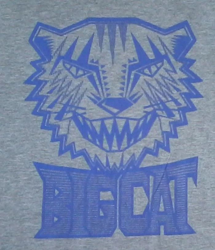 Joli tee-shirt manches longues garçon 8 ans - photo numéro 2