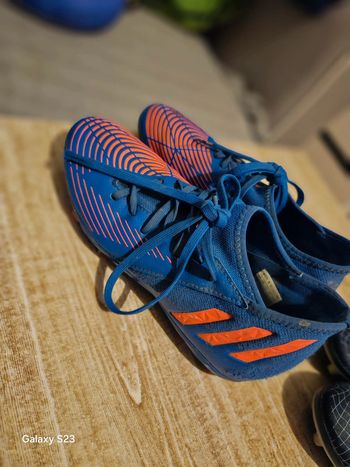 Crampons predator