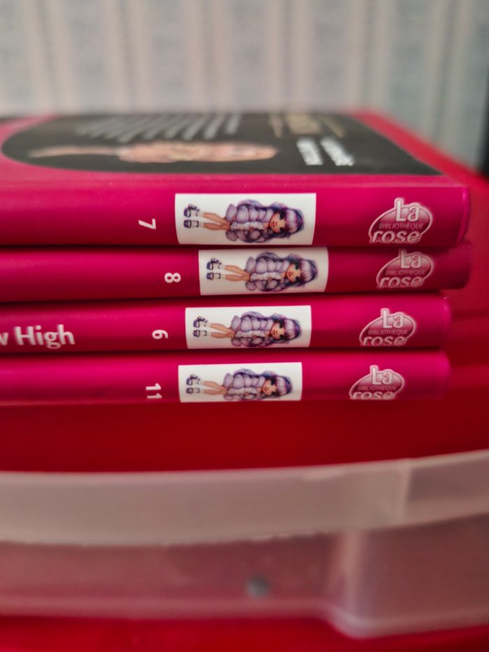 4livres rainbow high en très bon état - photo numéro 3