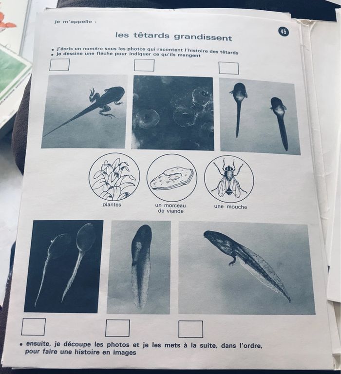 Activités d’éveil pour les 5 à 7 ans - photo numéro 3