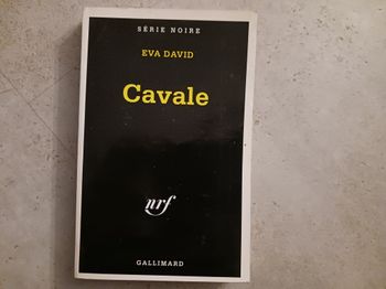 livre Cavale Eva David Gallimard