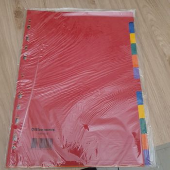 12 intercalaires multi-couleur