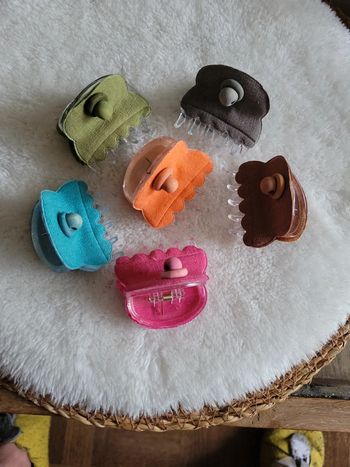 Lot 5 pinces a cheveux d été