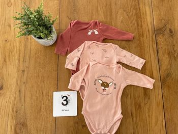 Lot de 3 bodies 3 mois FPC