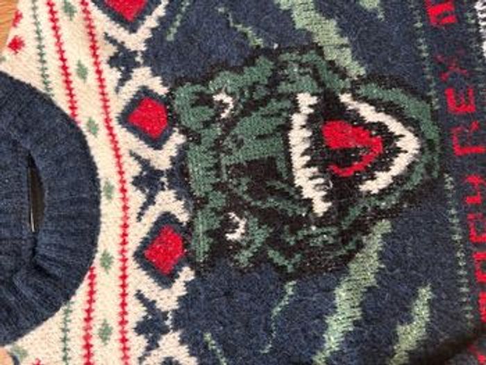 Pull de Noël Jurassic Park 4 ans - photo numéro 2