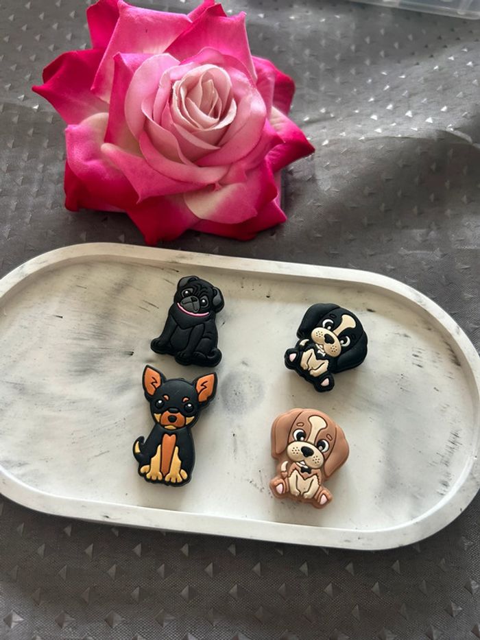 Perle silicone chien