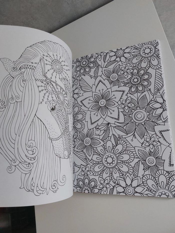 Coloriage pour adulte anti stress - photo numéro 8