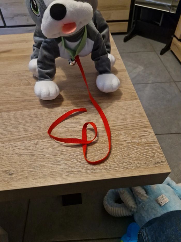 Chien a tirer - photo numéro 2