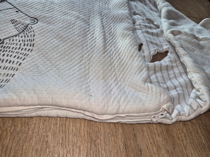 Nid d'ange ours - photo numéro 4