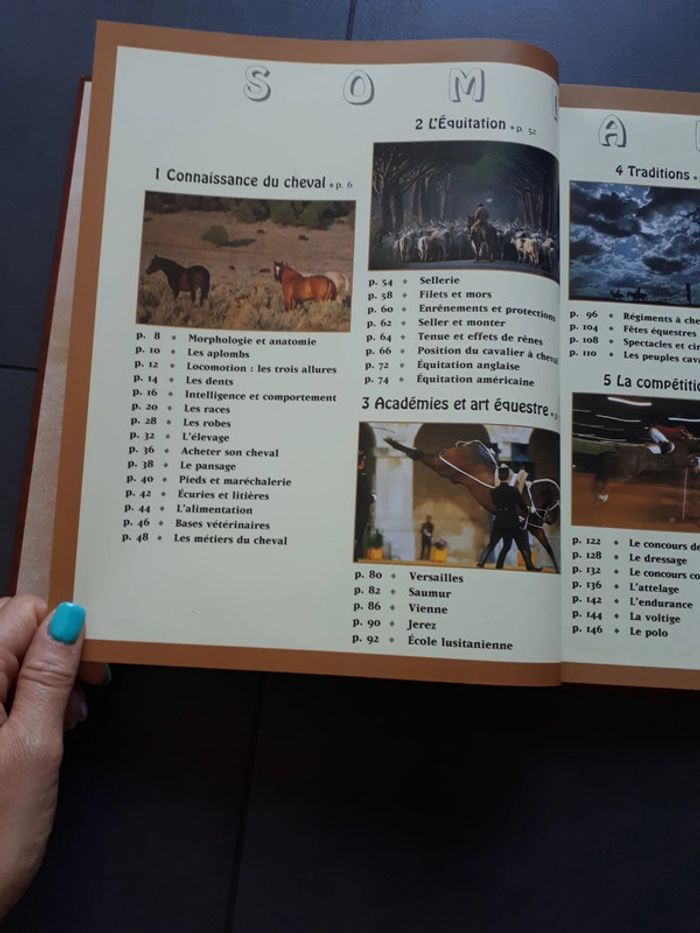 Très beau livre le grand livre des chevaux - photo numéro 3