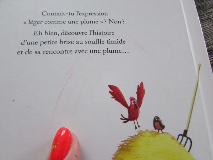 Livre enfant Léger comme une plume - photo numéro 4