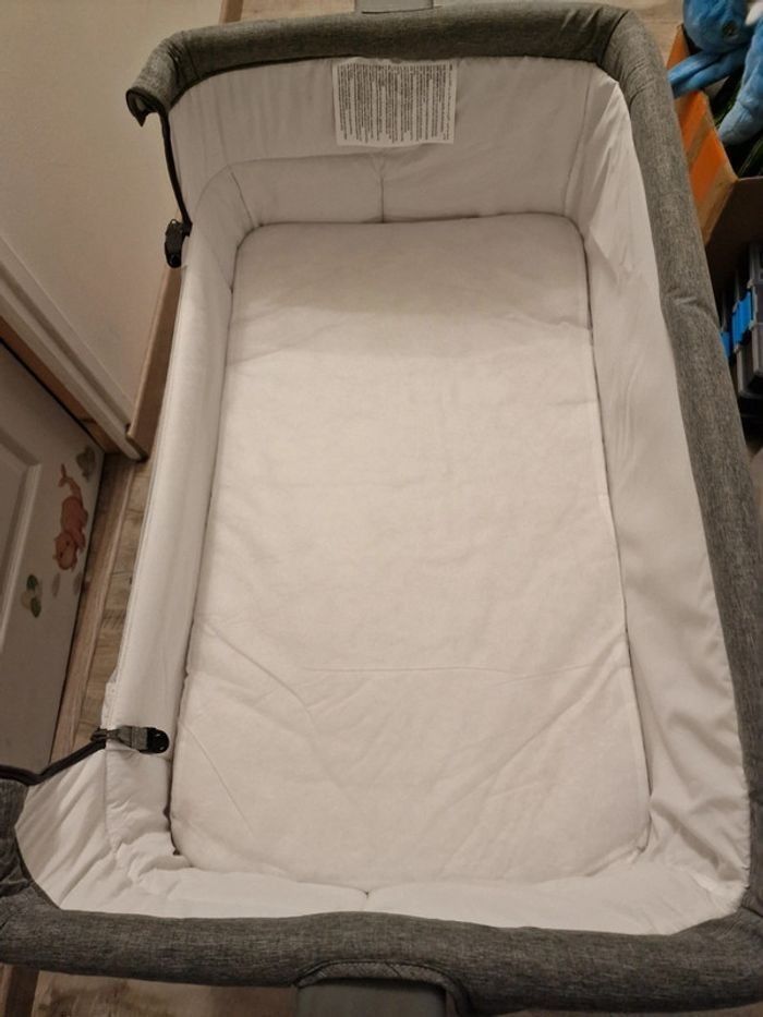 Cododo - photo numéro 7