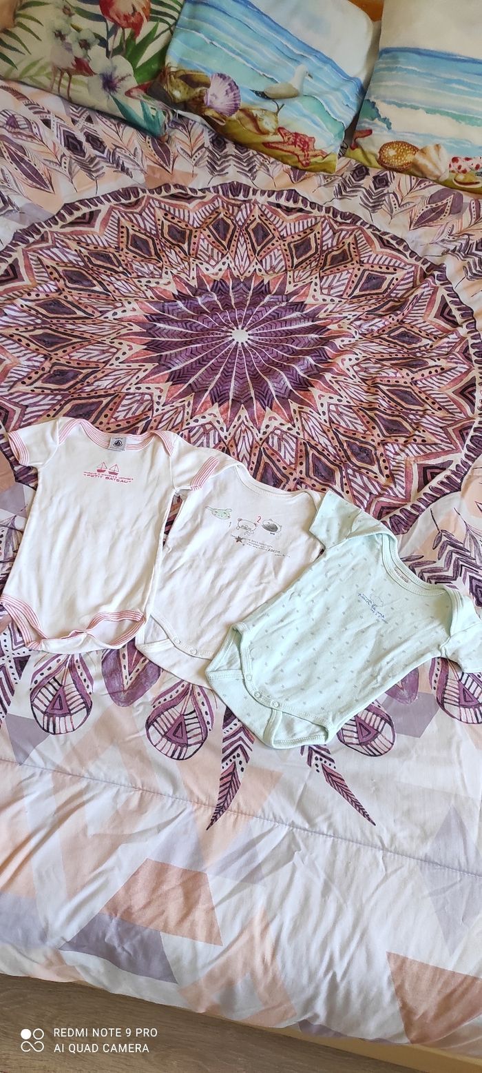 Lot 3 bodies à manches courtes Petit bateau 6 mois - photo numéro 2