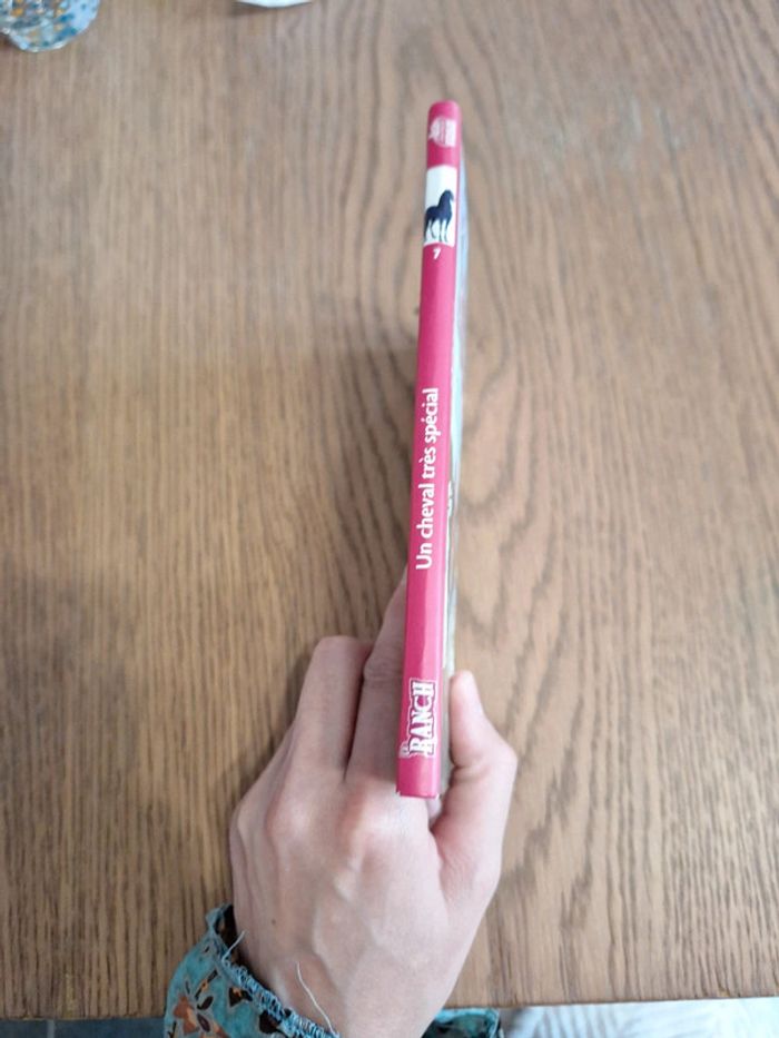 Livre le ranch : un cheval très spécial n°7 - photo numéro 3