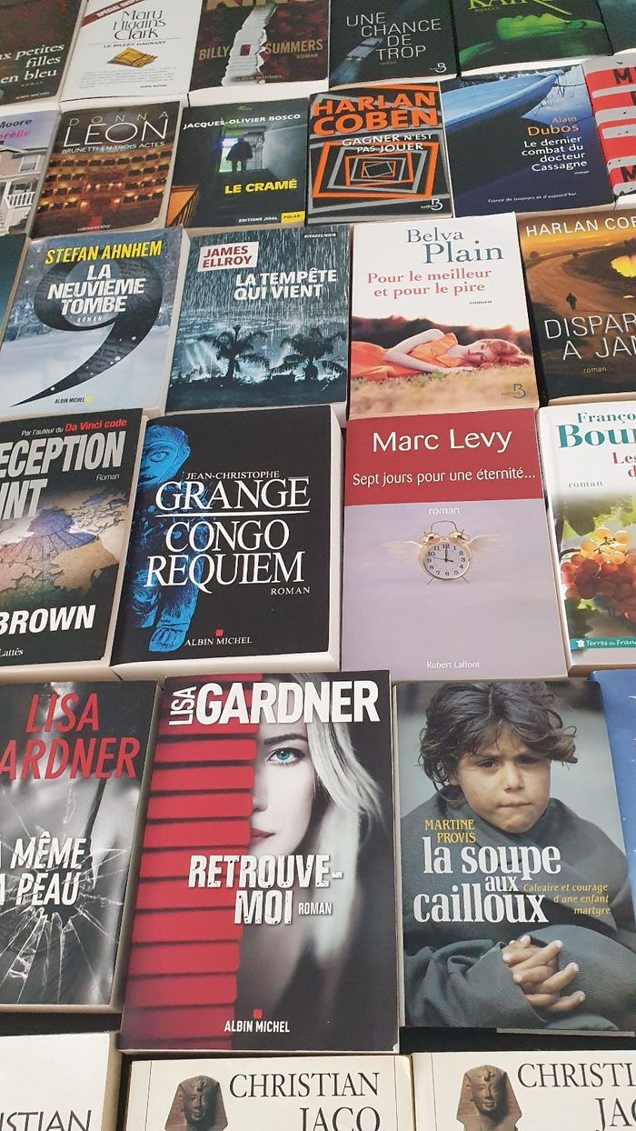 Divers livres brochés - photo numéro 5